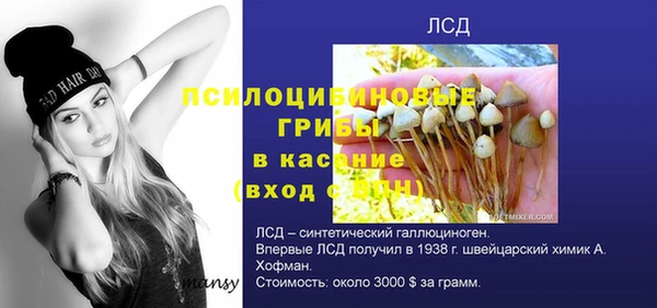 экстази Баксан